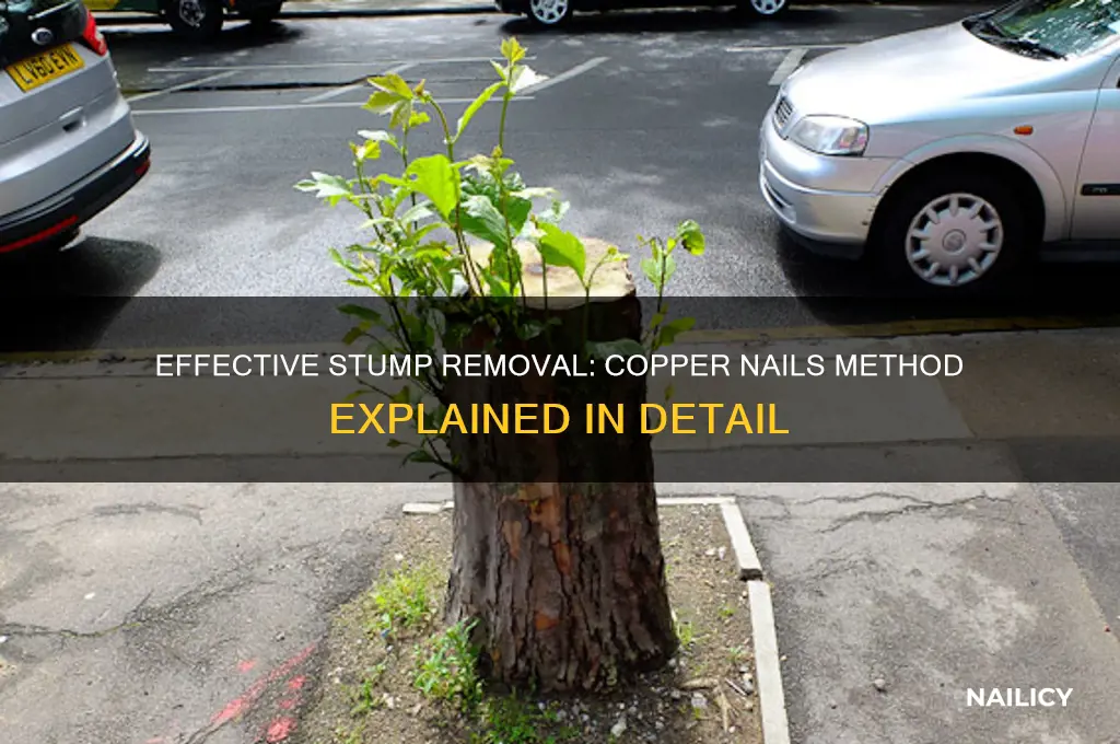 how many copper nails to kill a stump