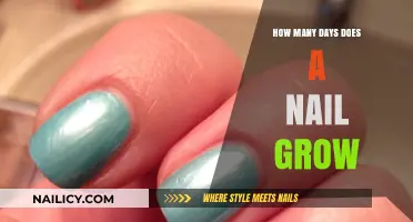 Nail Growth: How Long Does It Take to Grow Nails?