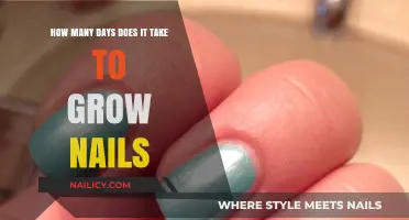 Speedy Solutions: Growing Nails in a Jiffy