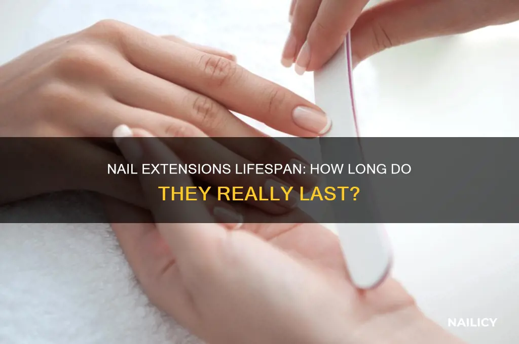 how many days does nail extensions last
