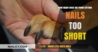 Trimming Nails: A Deadly Mistake for Dogs