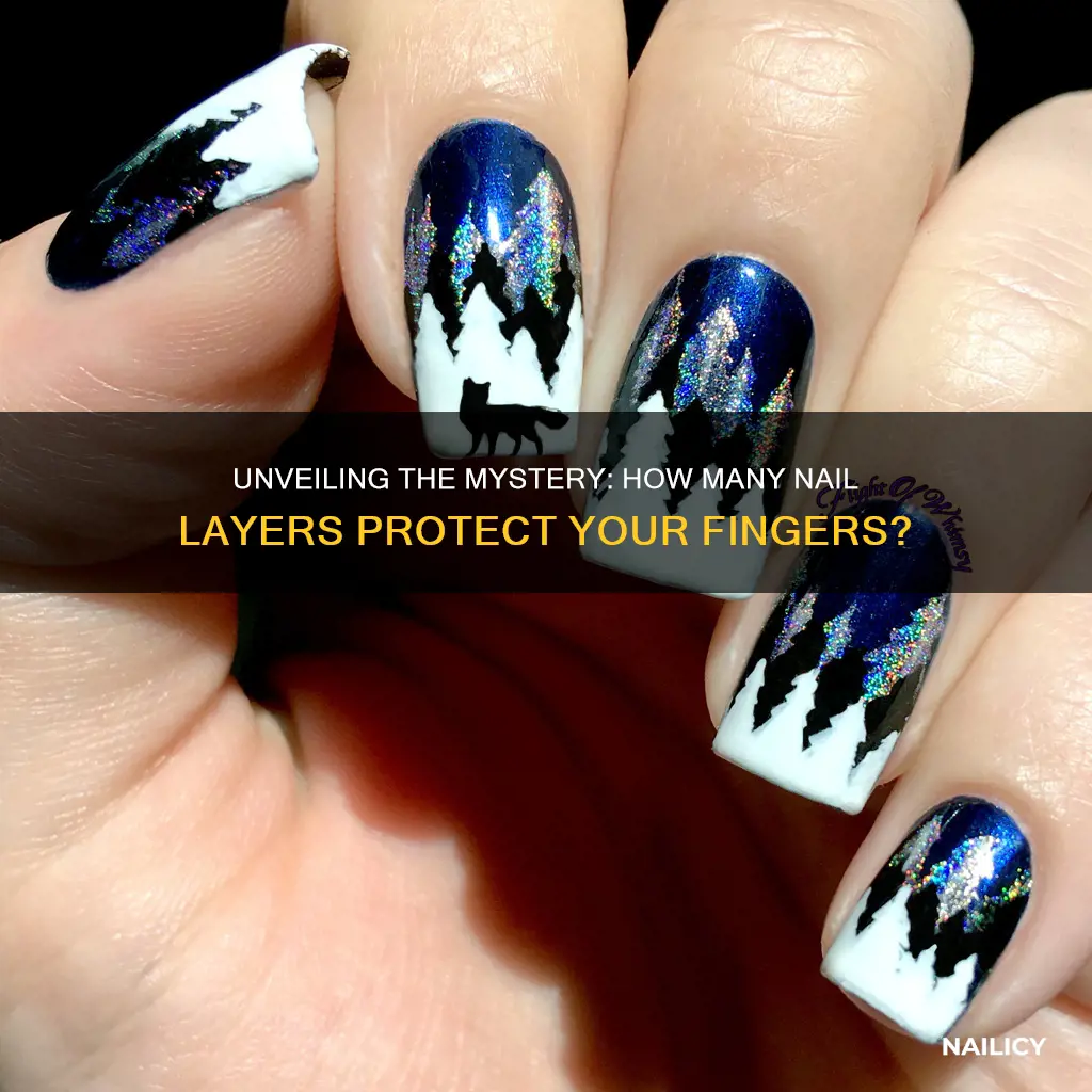 how many finger nails layers do we have