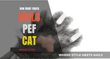 Exploring the Mystery of Feline Fingernails