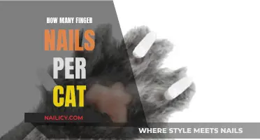 A Cat's Claw: Finger Nails Count and Care