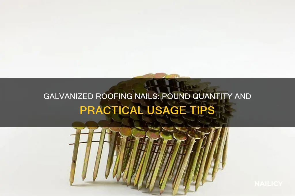 how many galvanized roofing nails in a pound