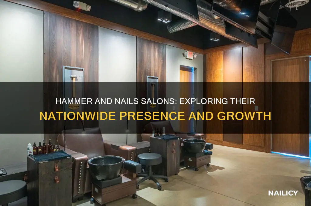 how many hammer and nails salons are there