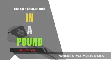 Horseshoe Nails Weight: How Many Fit in a Single Pound?