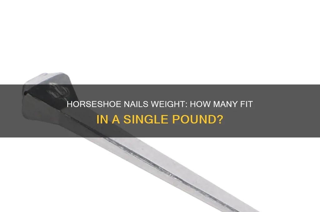 how many horseshoe nails in a pound