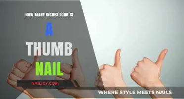 The Thumbnail's Length: How Long is Too Long?