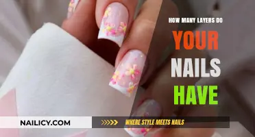 Unveiling the Surprising Structure: Exploring Your Nail Layers