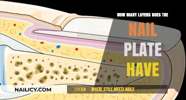 Understanding the Nail Plate: Exploring Its Complex Layers and Structure