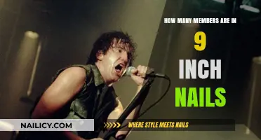 Unveiling the Lineup: How Many Members Are in Nine Inch Nails?