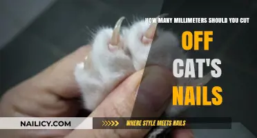 Trimming Cat Nails: How Short is Too Short?
