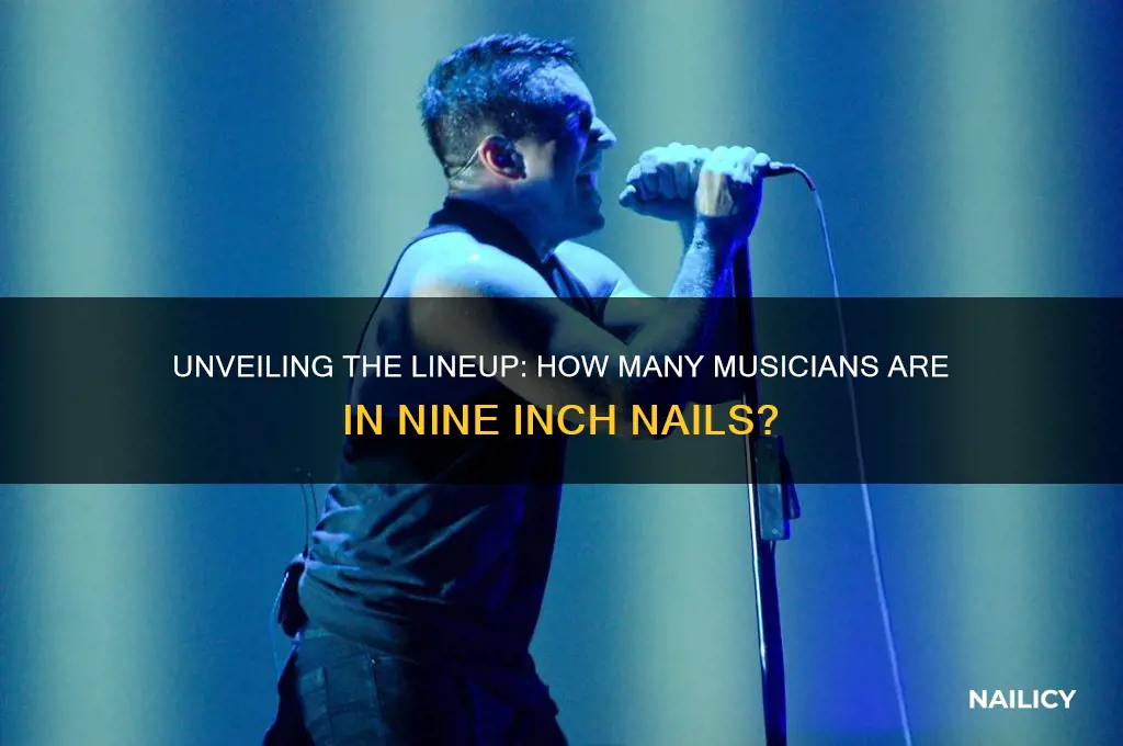 how many musicians in nine inch nails