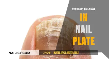 Understanding the Nail Plate: Counting Cells in Your Fingertips