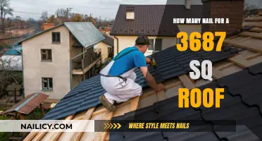 Nail Quantity Guide for 3687 Sq Ft Roof Installation