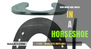 Unveiling the Mystery: Nail Hole Count in Horseshoes Explained