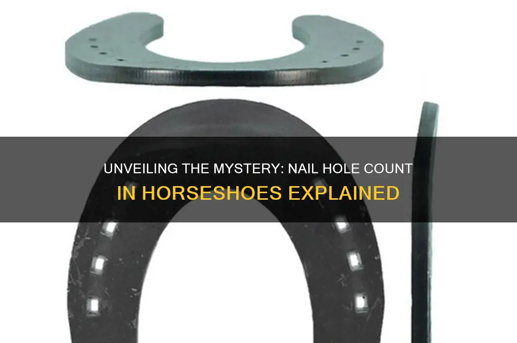 how many nail holes in a horseshoe