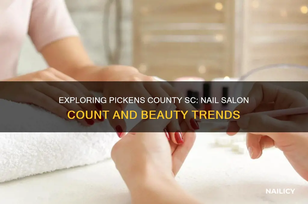 how many nail salons are in pickens county sc