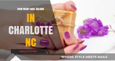 Exploring Charlotte's Nail Salon Scene: A Comprehensive Count and Guide