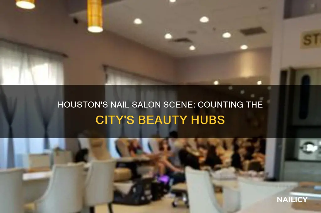 how many nail salons in houston