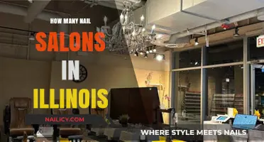 Exploring Illinois: The Growing Number of Nail Salons Statewide