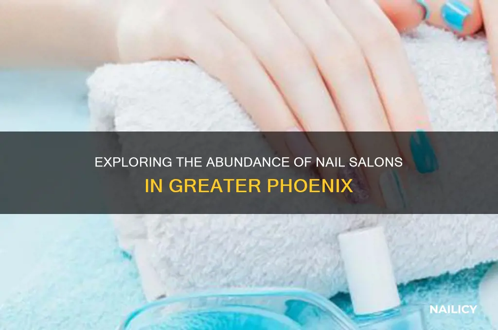 how many nail salons in the greater phoenix area