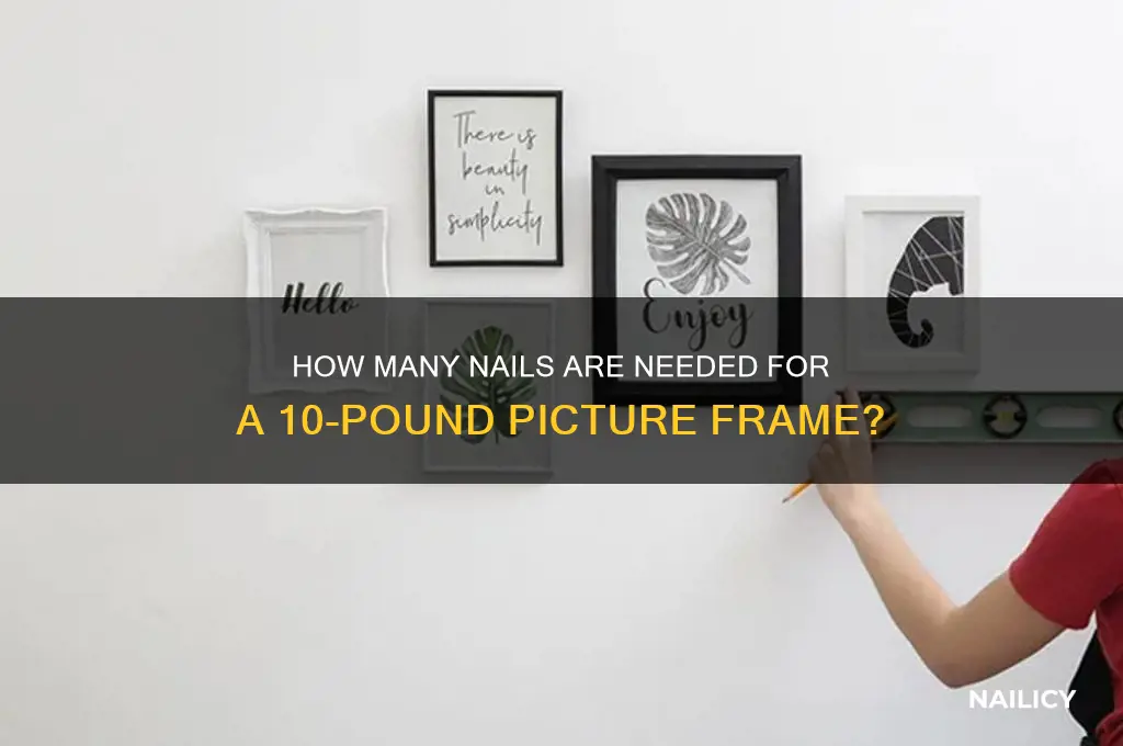 how many nails 10lbs picture