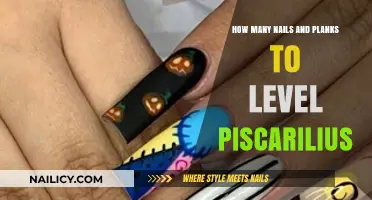 Leveling Piscarilius: Essential Nails and Planks Calculation Guide