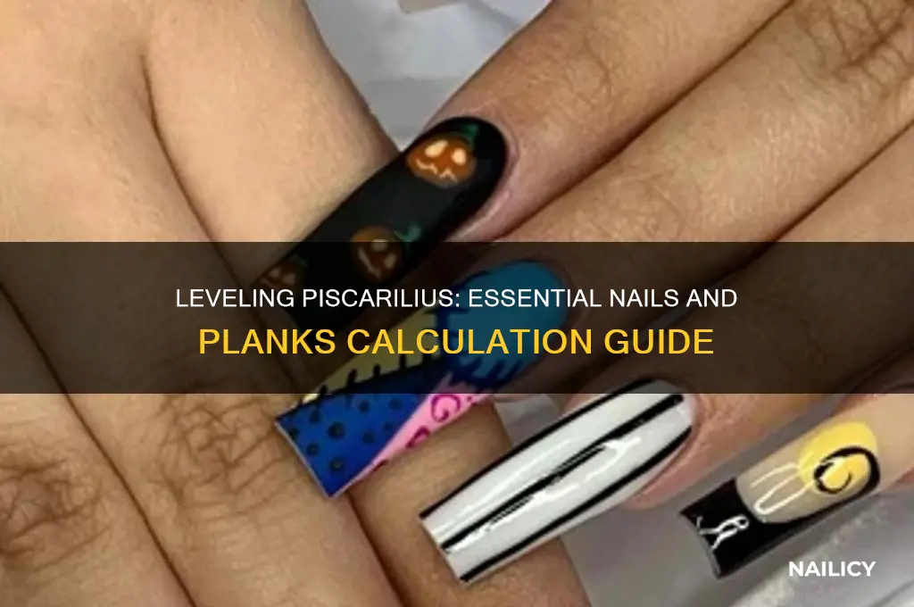 how many nails and planks to level piscarilius