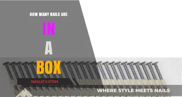 Unpacking the Mystery: How Many Nails Fit in a Standard Box?