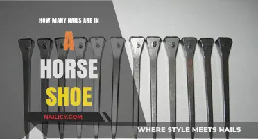 Understanding the Number of Nails in a Horse Shoe: A Guide