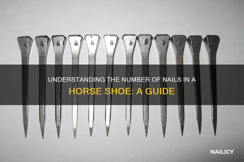 how many nails are in a horse shoe