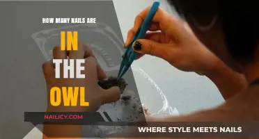 Unraveling the Myth: Nails in an Owl's Anatomy Explained