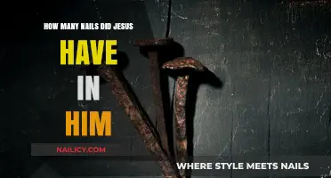 Unraveling the Crucifixion Mystery: Jesus' Nails and Historical Insights