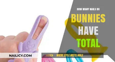 Total Bunny Nail Count: Uncovering the Surprising Number of Nails Rabbits Have