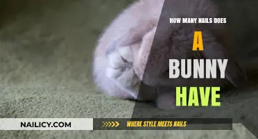 How Many Nails Does a Bunny Have? A Detailed Look
