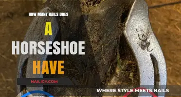 Understanding Horseshoe Nails: How Many Are Typically Used?
