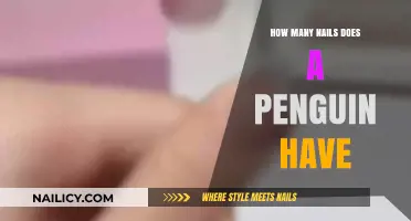 Unveiling the Surprising Truth About Penguin Nails and Their Count