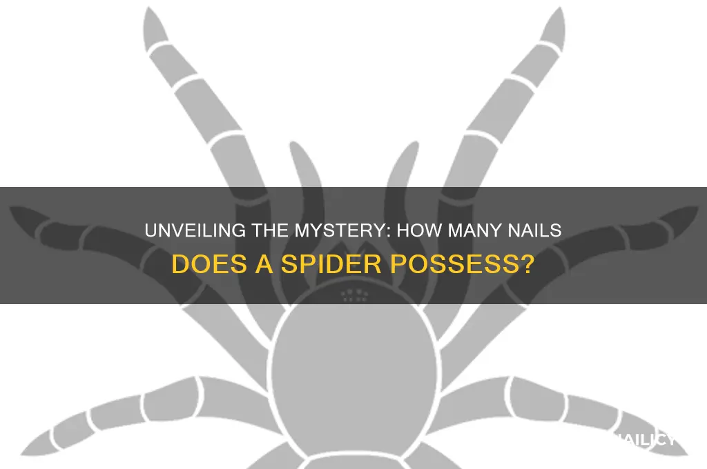 how many nails does a spider have