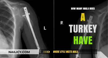 Unveiling the Surprising Truth About Turkey Nails: A Detailed Look