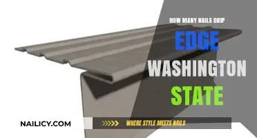 Washington State Drip Edge Nails: Quantity and Installation Guide