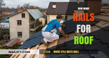 Nail Quantity Guide: Estimating Roofing Nails for Your Project