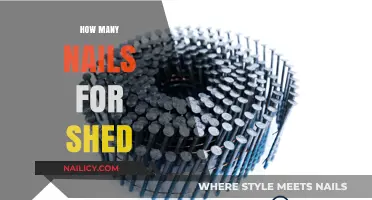 Shed Building Essentials: Nail Quantity Guide for Sturdy Construction