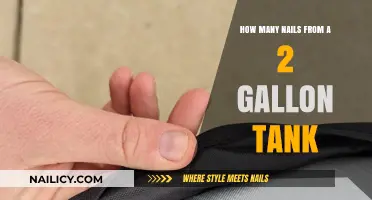 Estimating Nail Storage: How Many Fit in a 2-Gallon Tank?