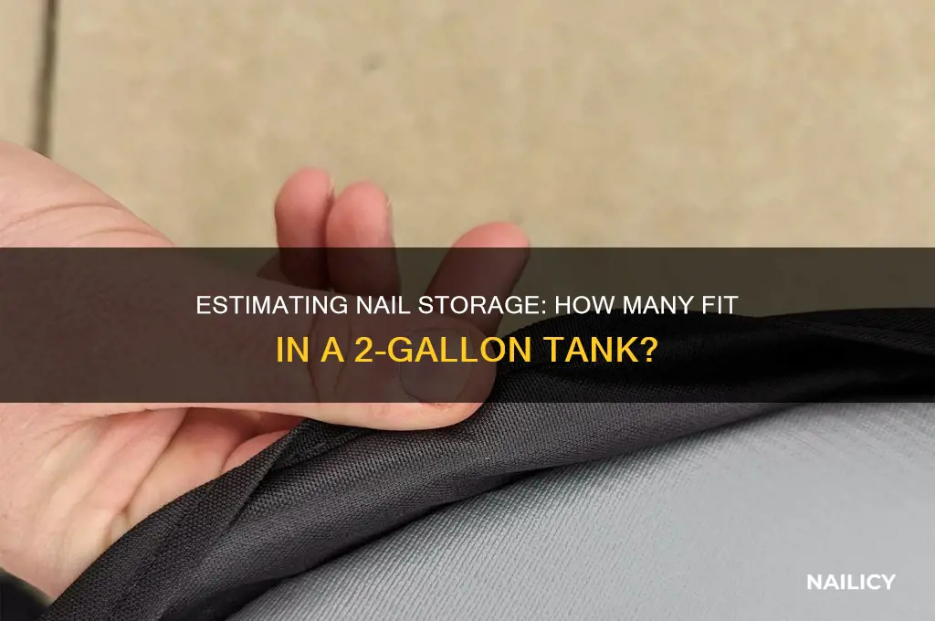 how many nails from a 2 gallon tank
