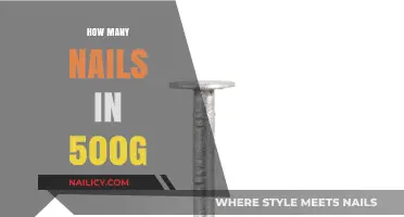 Estimating Nail Count: How Many Fit in 500g?