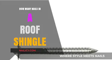 Nailing Down the Details: Roof Shingle Fastener Counts Explained