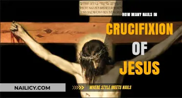 Crucifixion of Jesus: Unraveling the Mystery of the Nails Used