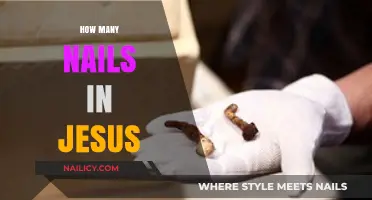 Understanding the Crucifixion: How Many Nails in Jesus' Sacrifice?